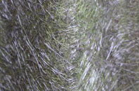 Bilson Green fibreglass roof work